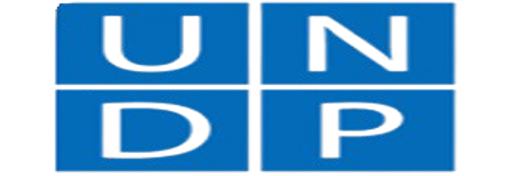 UNDP (United Nations Development Programme) logo